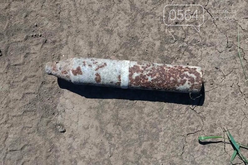 На Днепропетровщине выявили два артиллерийских снаряда, - ФОТО, фото-4