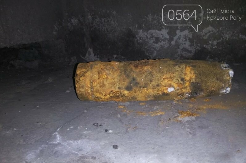 На Днепропетровщине выявили два артиллерийских снаряда, - ФОТО, фото-2