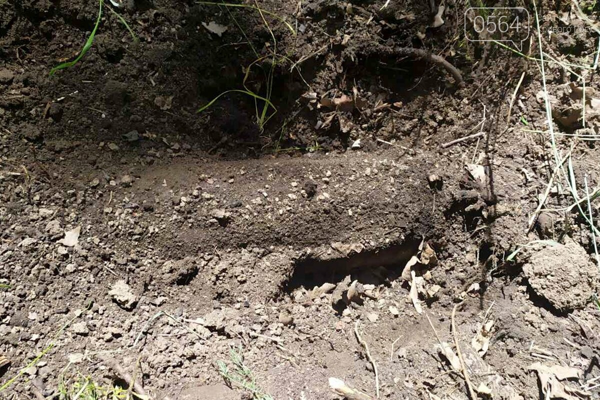 Возле Кривого Рога обнаружили артиллерийский снаряд, - ФОТО , фото-2