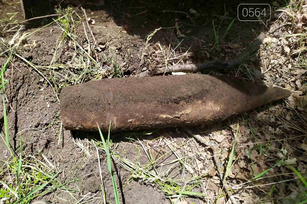 Возле Кривого Рога обнаружили артиллерийский снаряд, - ФОТО , фото-1