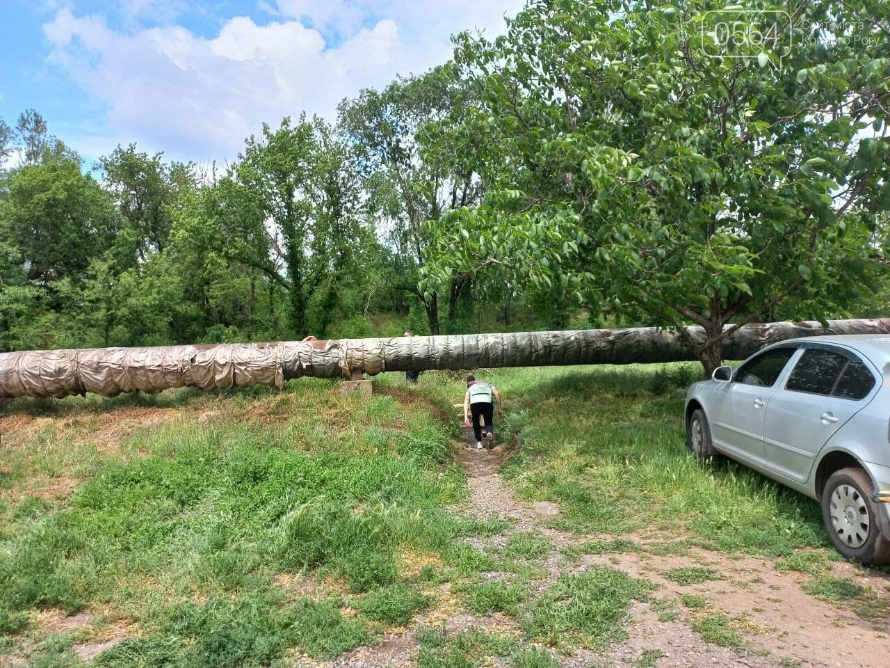 Гонки на выживание фото