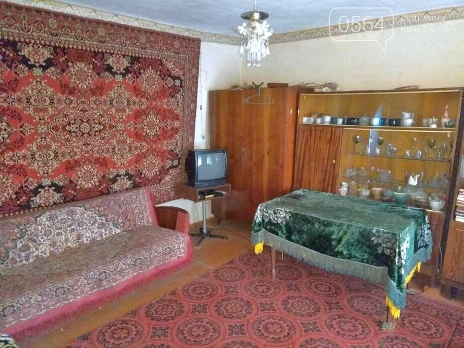 Купить дом в Кривом Роге (Центрально-Городской район): от небольшого - до элитного, - ФОТО, фото-2