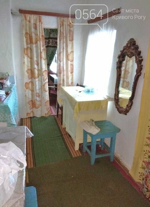 Купить дом в Кривом Роге (Центрально-Городской район): от небольшого - до элитного, - ФОТО, фото-4