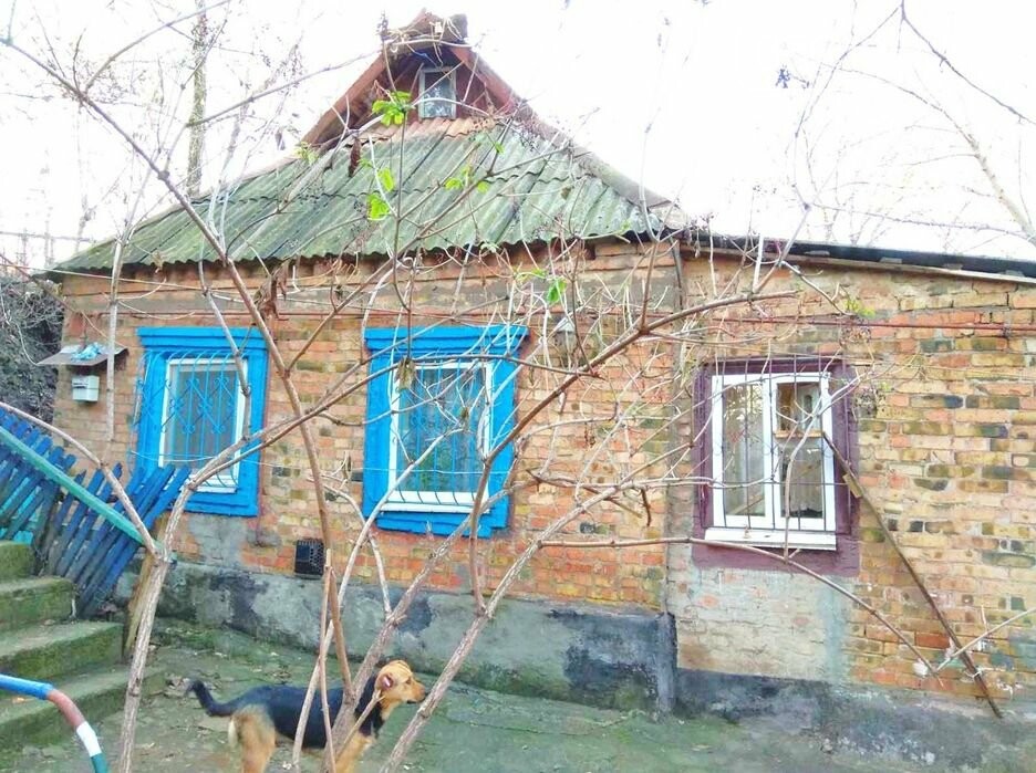 Купить дом в Кривом Роге (Центрально-Городской район): от небольшого - до элитного, - ФОТО, фото-1