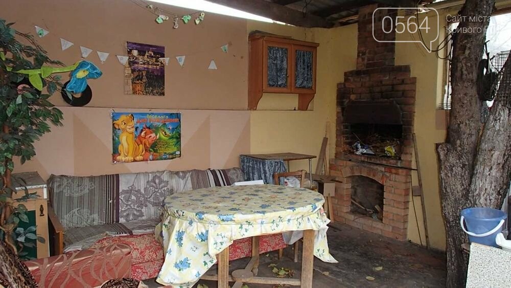 Купить дом в Кривом Роге (Центрально-Городской район): от небольшого - до элитного, - ФОТО, фото-18