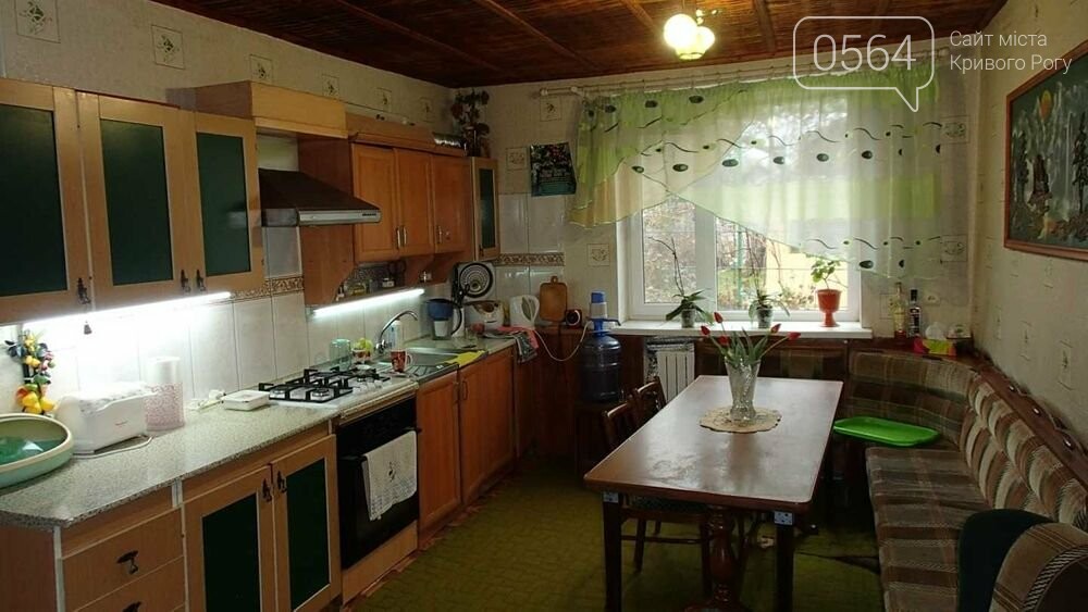 Купить дом в Кривом Роге (Центрально-Городской район): от небольшого - до элитного, - ФОТО, фото-26