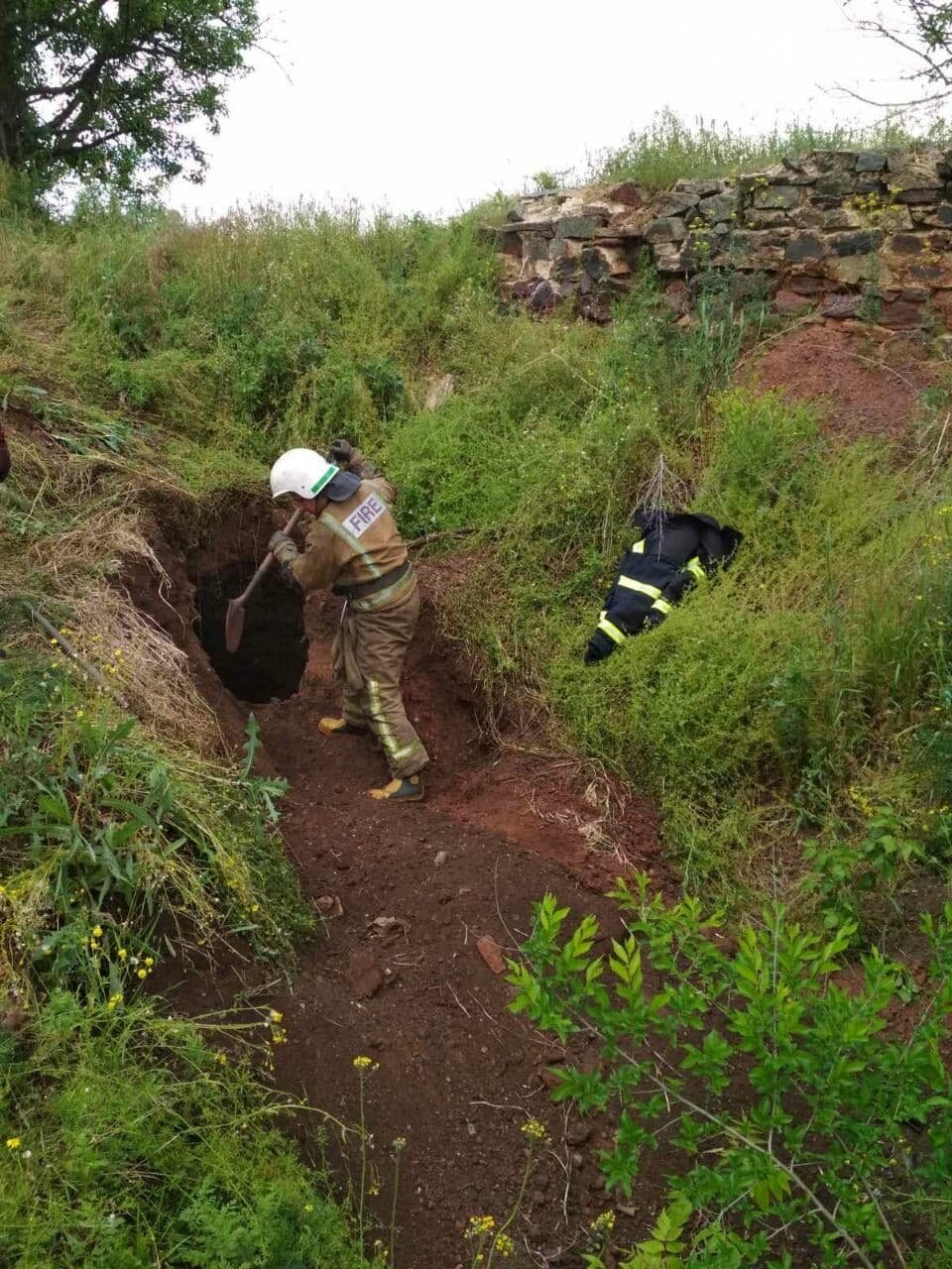 В Кривом Роге около 5 часов спасали корову, провалившуюся в пропасть, - ФОТО, ВИДЕО , фото-1