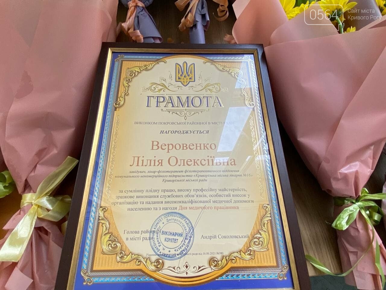 В Кривом Роге по случаю Дня медработника вручили грамоты и медали, - ФОТО, ВИДЕО , фото-3