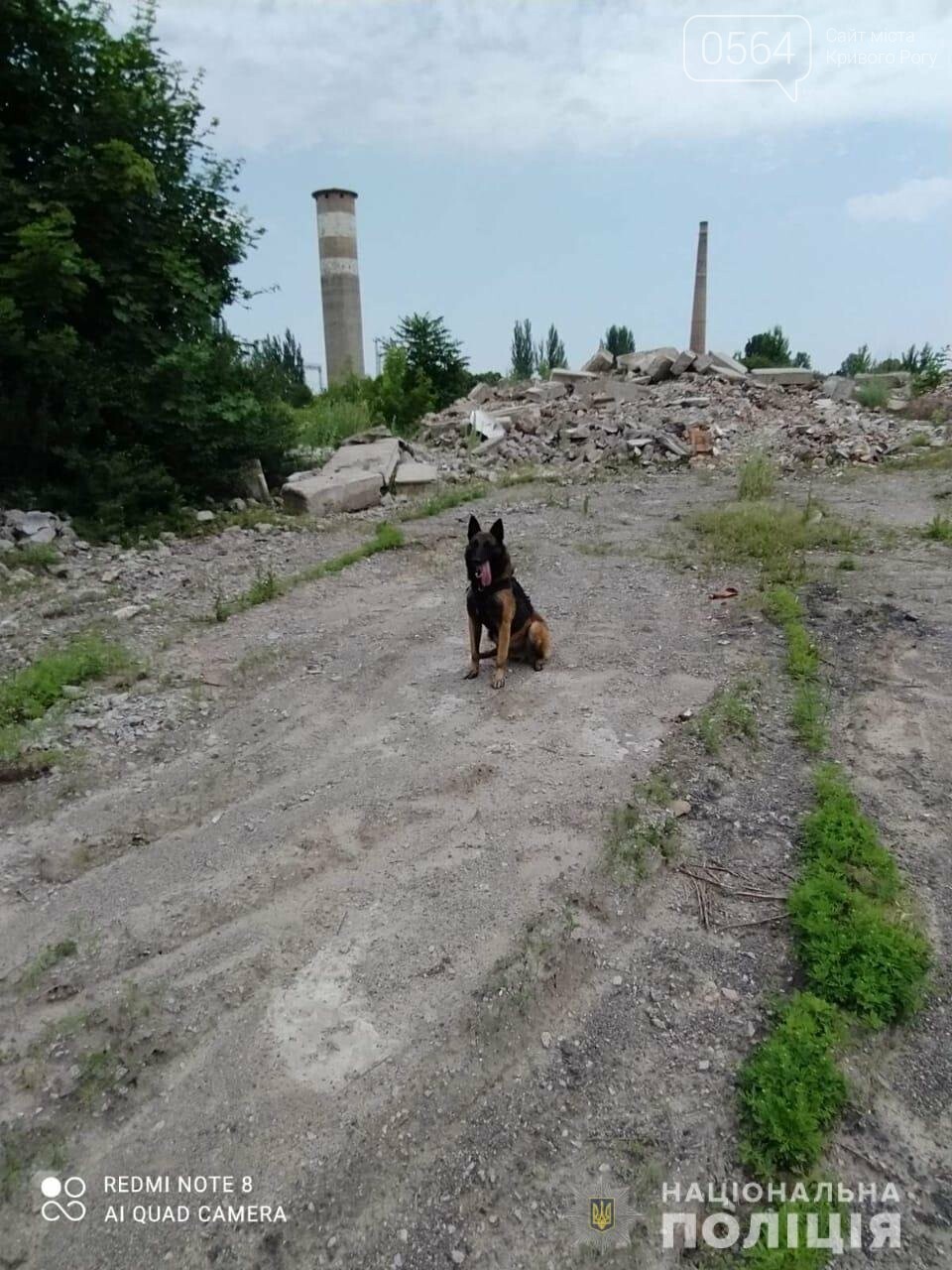 На Днепропетровщине после пятидневных поисков полицейские обнаружили тело 15-летней девушки, - ФОТО, фото-4