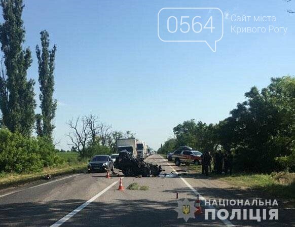 Смертельное ДТП на Николаевщине: 2 человека погибли, 5 госпитализированы, - ФОТО, фото-2