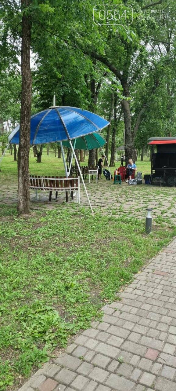 В Кривом Роге фотозону в парке превратили в шашлычную, - ФОТО, фото-2