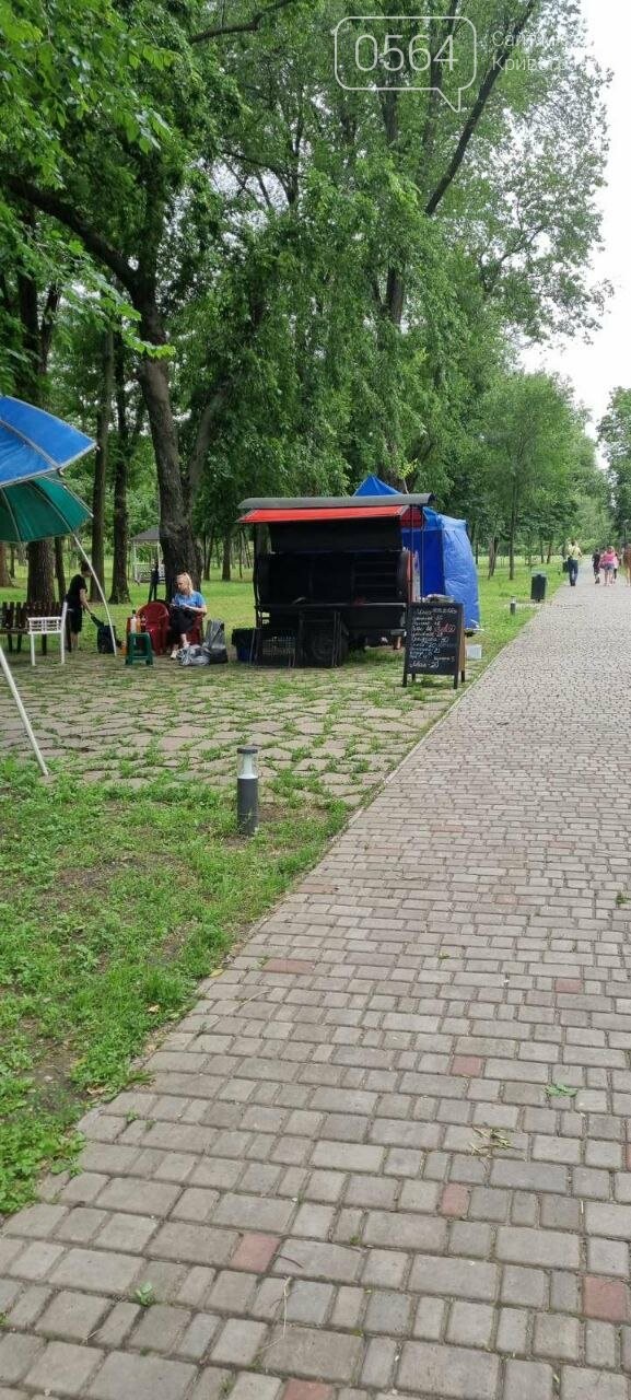 В Кривом Роге фотозону в парке превратили в шашлычную, - ФОТО, фото-4