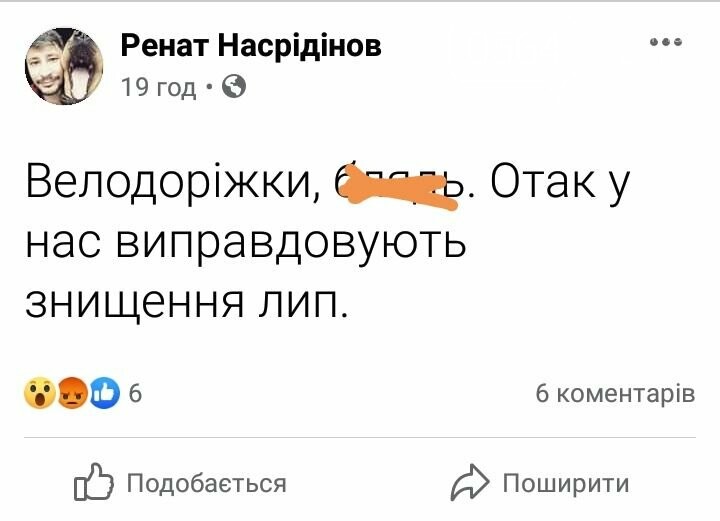 "Велодорожки...Вот так у нас оправдывают уничтожение лип": для реконструкции дороги в Кривом Роге спилили деревья, - ФОТО, фото-16