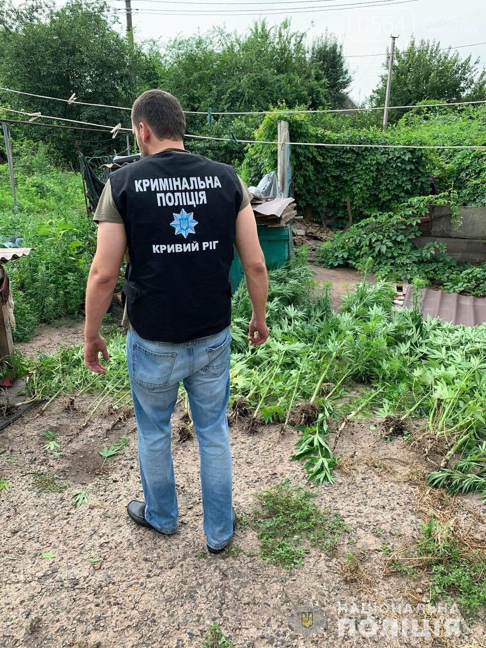 Есть ч конопля Есть ч конопля старый тор браузер скачать гирда