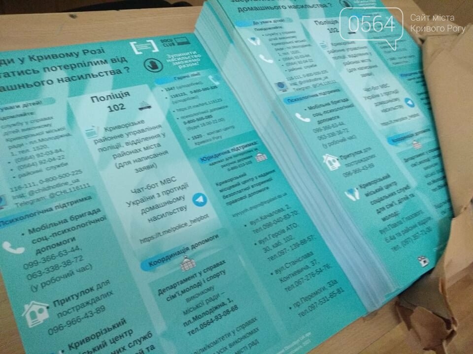 В Кривом Роге юристы делились успешными кейсами и проблемами по противодействию домашнему насилию, - ФОТО, фото-12