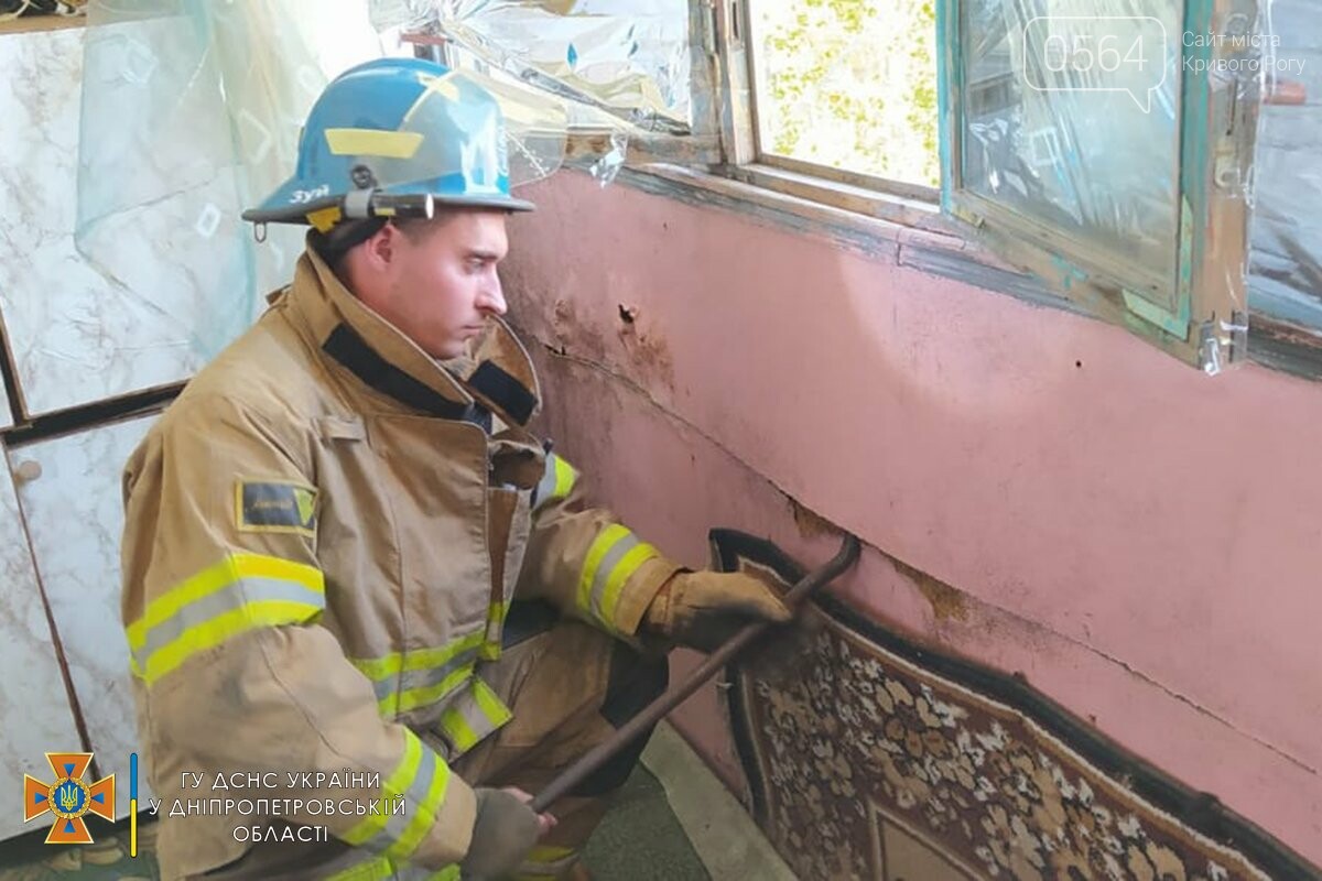 В криворожском районе спасатели нашли на балконе более 150 летучих мышей, - ФОТО, фото-1