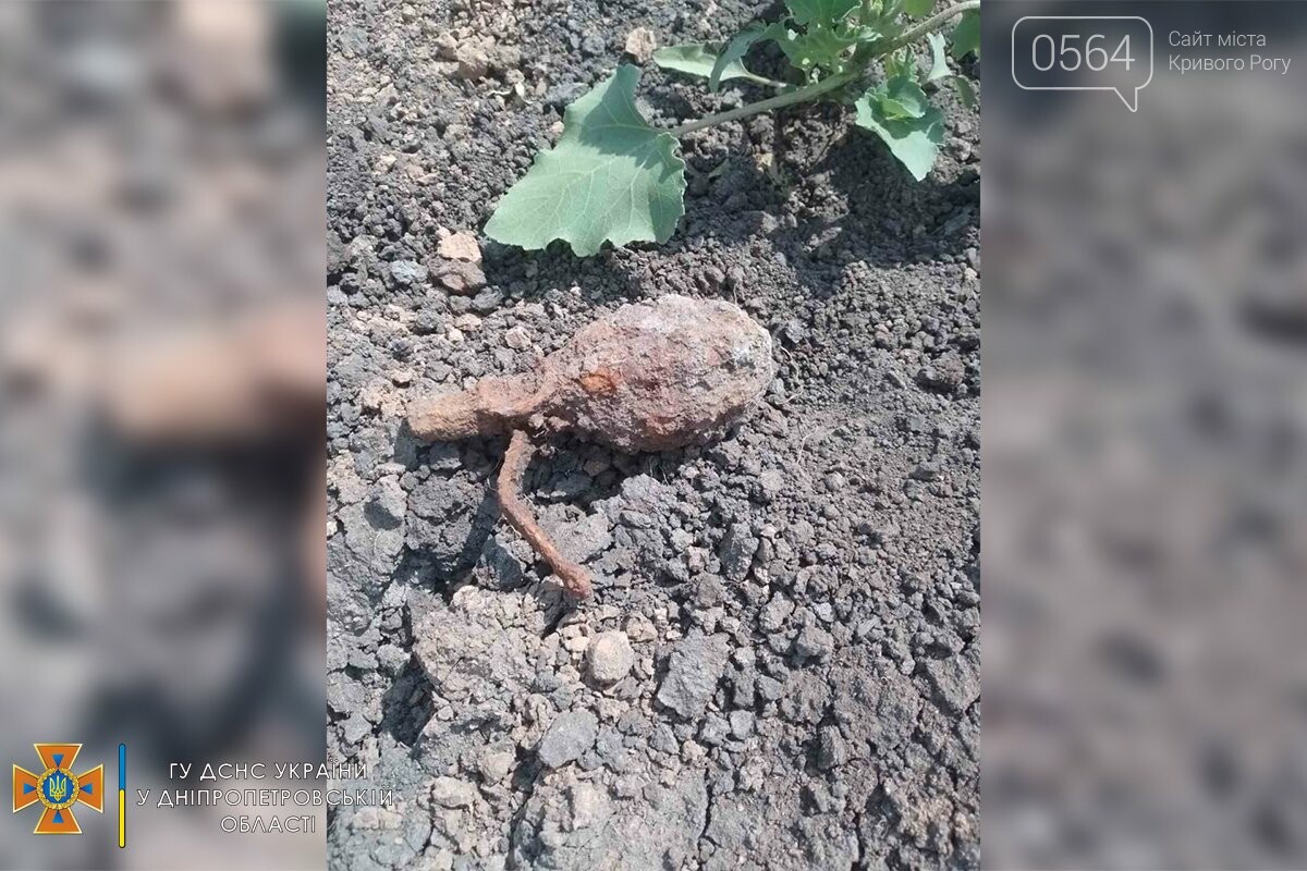 Возле Кривого Рога обнаружили гранату, - ФОТО , фото-1
