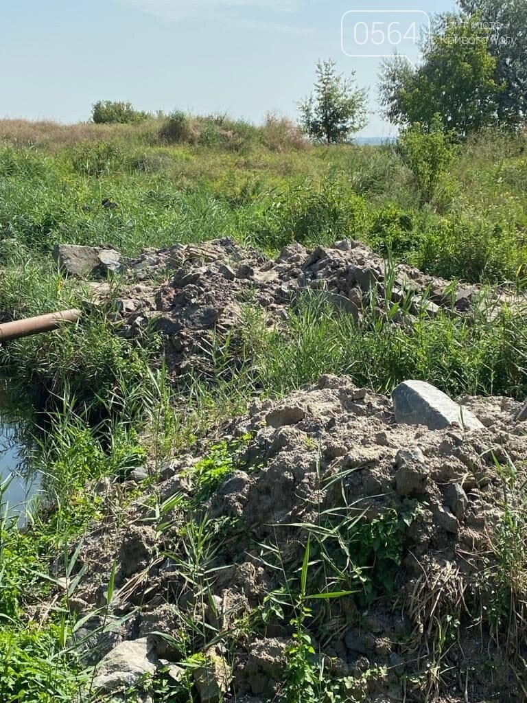 Специалисты ГЭИ выяснили почему упал уровень воды в Саксагани в Криворожском районе, - ФОТО , фото-1