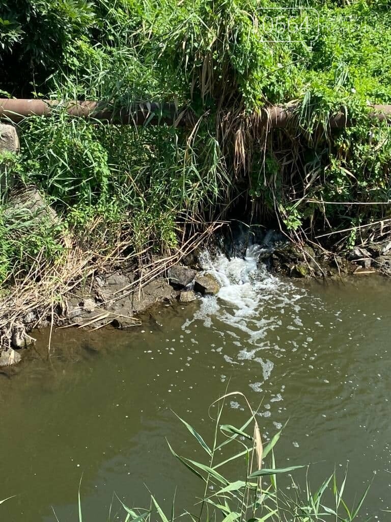 Специалисты ГЭИ выяснили почему упал уровень воды в Саксагани в Криворожском районе, - ФОТО , фото-6