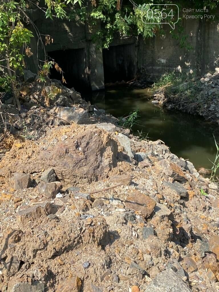 Специалисты ГЭИ выяснили почему упал уровень воды в Саксагани в Криворожском районе, - ФОТО , фото-2