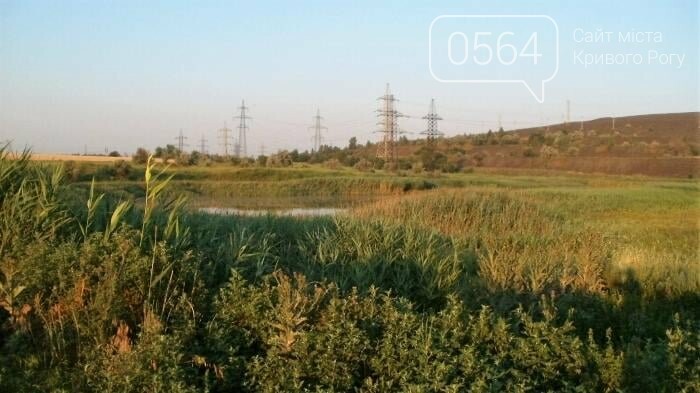 ГЭИ начала внеплановую проверку в селе под Кривым Рогом, - ФОТО , фото-3