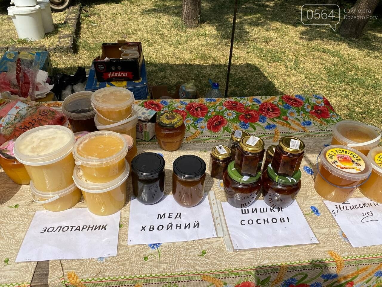 Целительный мед и лечебные пчелопродукты: что можно приобрести на криворожском Медофесте, - ФОТО, ВИДЕО , фото-24