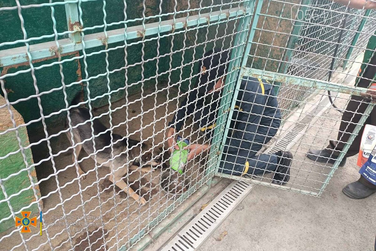 Спасатели Днепропетровщины посетили приюты для бездомных животных, - ФОТО , фото-5