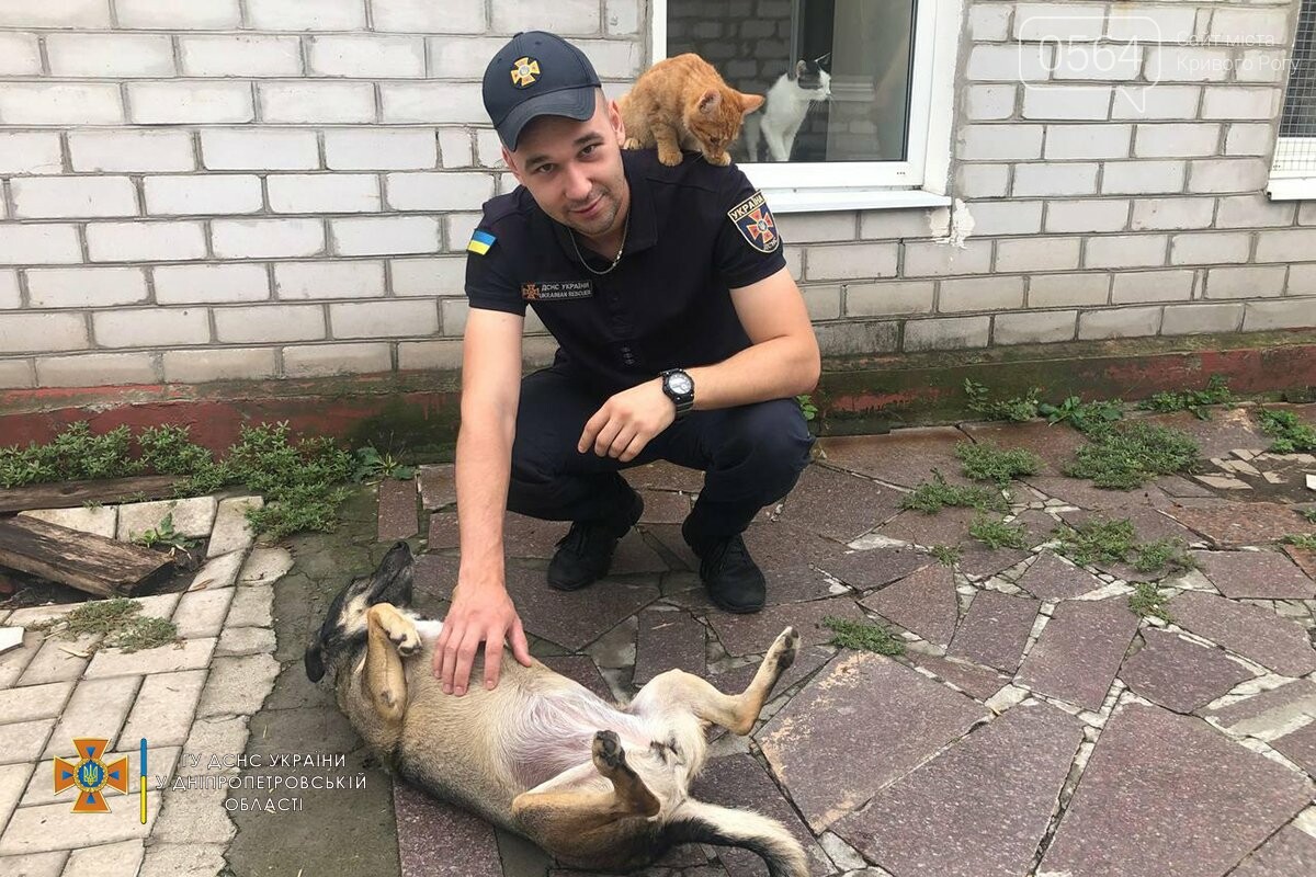 Спасатели Днепропетровщины посетили приюты для бездомных животных, - ФОТО , фото-6