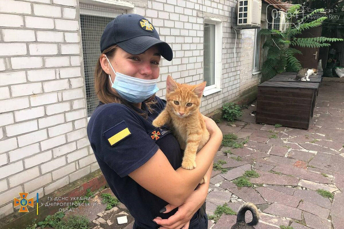 Спасатели Днепропетровщины посетили приюты для бездомных животных, - ФОТО , фото-1