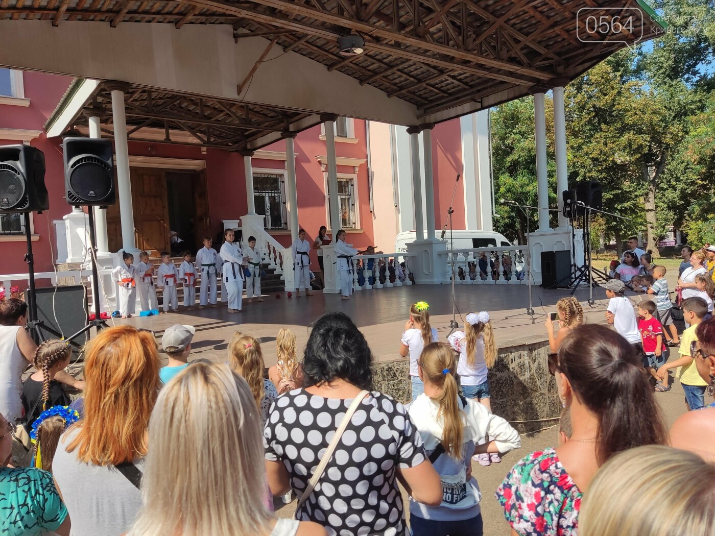 В парке Шахтерский криворожане празднуют День Независимости - ФОТО, ВИДЕО, фото-12