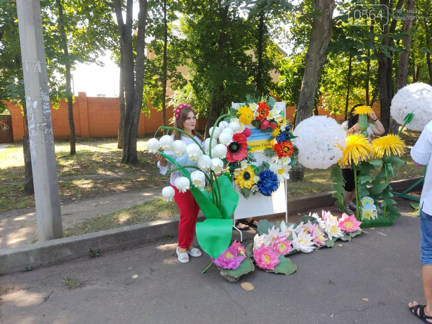 В парке Шахтерский криворожане празднуют День Независимости - ФОТО, ВИДЕО, фото-1