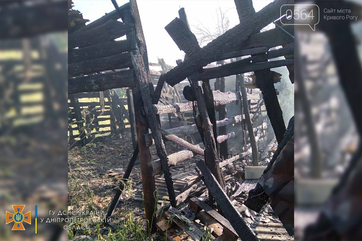 В Криворожском районе во время пожара сгорело 3 тонны сена, - ФОТО , фото-2