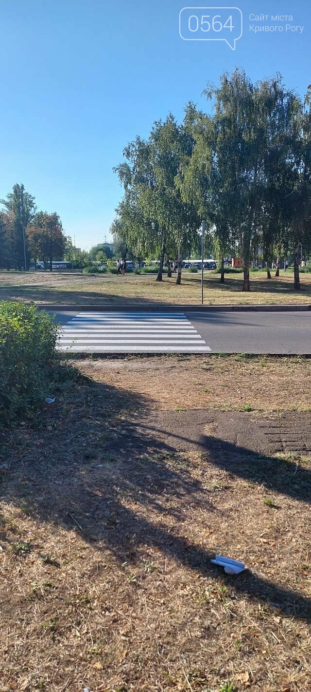 И пыль и грязь: криворожанка показала новый неудобный для пешеходов переход, - ФОТО, фото-2