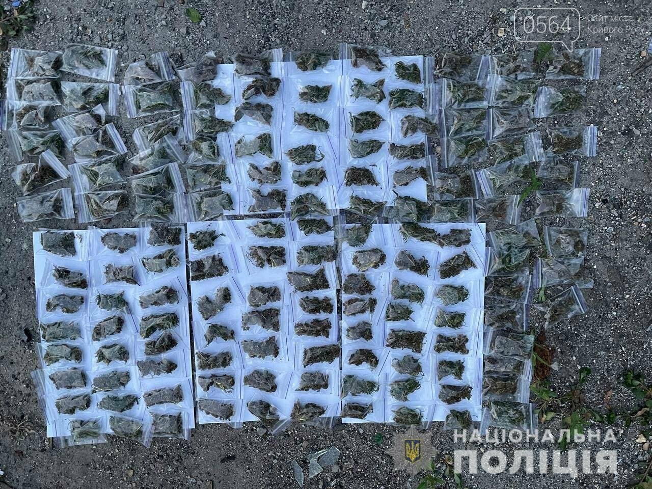 У криворожанина изъяли почти 450 пакетов каннабиса, - ФОТО, фото-1