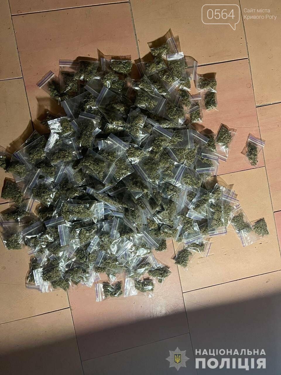 У криворожанина изъяли почти 450 пакетов каннабиса, - ФОТО, фото-2