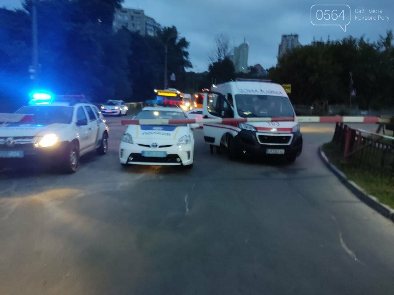 Поезд "Кривой Рог - Киев" на переезде сбил человека, - ФОТО, фото-1