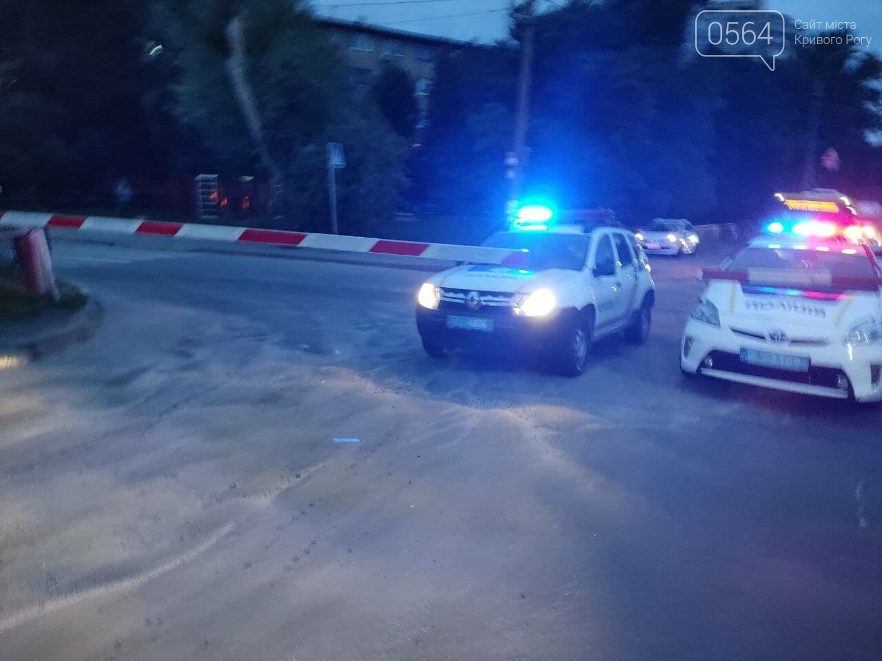 Поезд "Кривой Рог - Киев" на переезде сбил человека, - ФОТО, фото-6