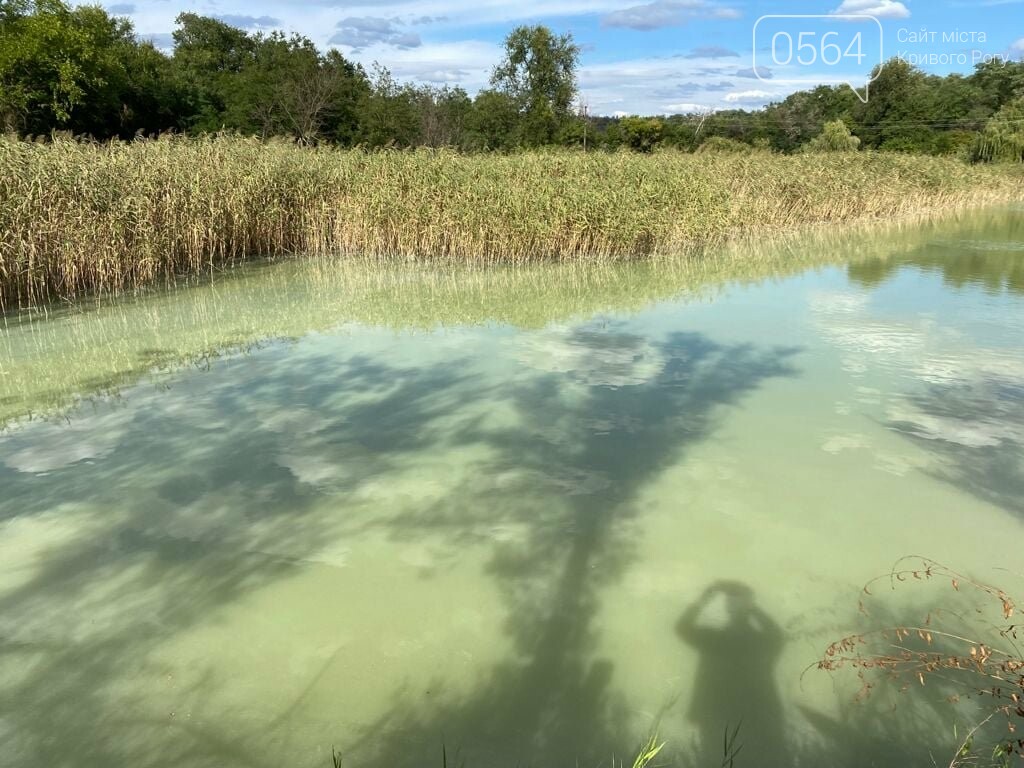 Замор рыбы в Криворожском районе мог произойти из-за канализационных стоков в водоём, - Госэкоинспекция, - ФОТО, фото-2