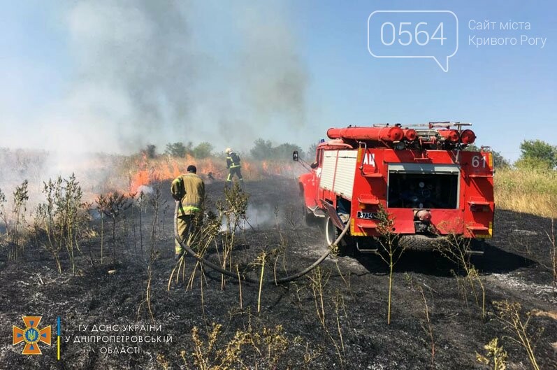 В Криворожском районе сгорело 2 гектара сухостоя. - ФОТО, фото-2
