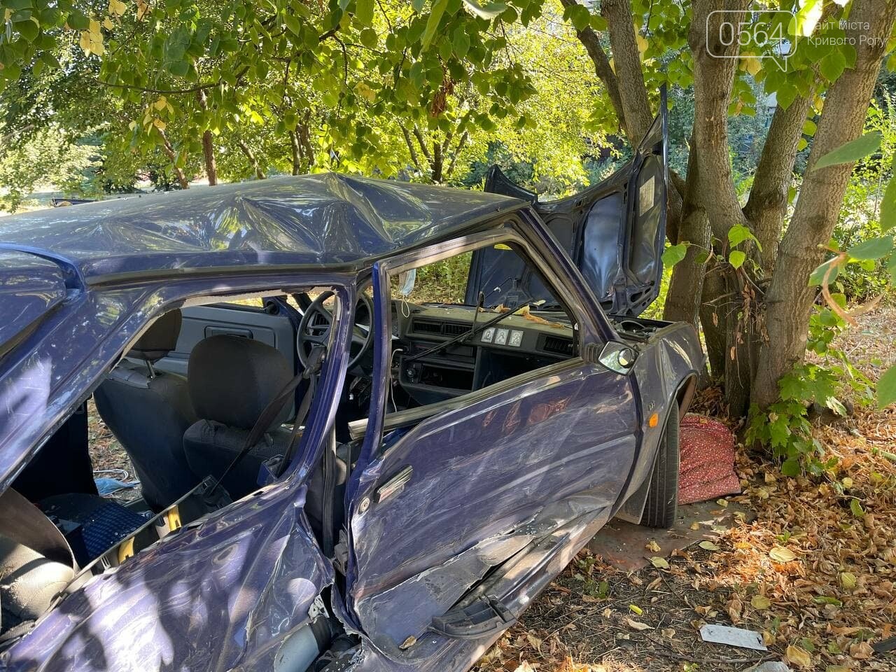 Два человека пострадали в аварии возле объездной дороги в Кривом Роге, - ФОТО, фото-3