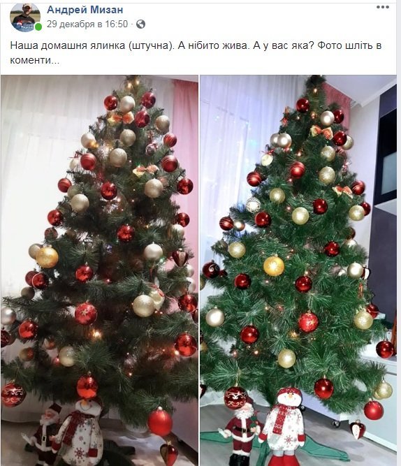Новый год стучится в дверь: как криворожане дома украсили н..., фото-1 Новый год стучится в дверь: как криворожане дома украсили новогодние елки, - ФОТО , фото-1