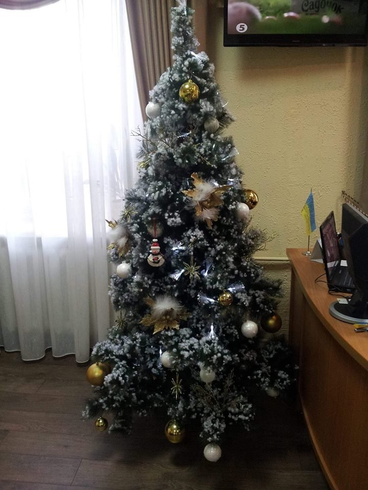 Новый год стучится в дверь: как криворожане дома украсили н..., фото-3 Новый год стучится в дверь: как криворожане дома украсили новогодние елки, - ФОТО , фото-3