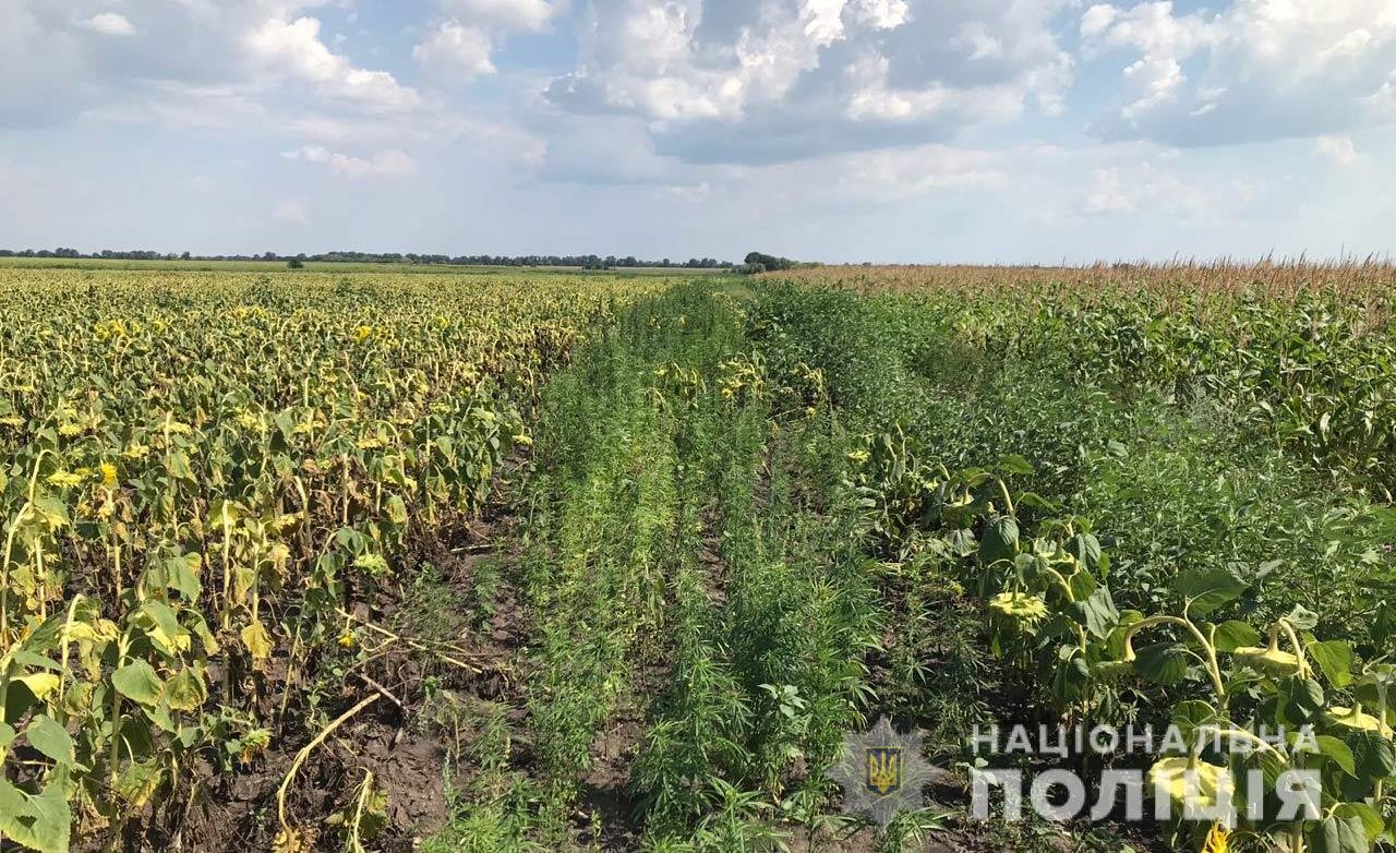 В Кривом Роге спасатели достали из открытого люка двоих мужчин. Пострадавшие в реанимации, - ФОТО, ВИДЕО