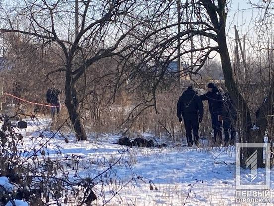 В частном секторе Кривого Рога нашли обгоревшие останки человека, - ФОТО, фото-1