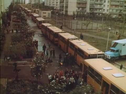 Фото: соцсети