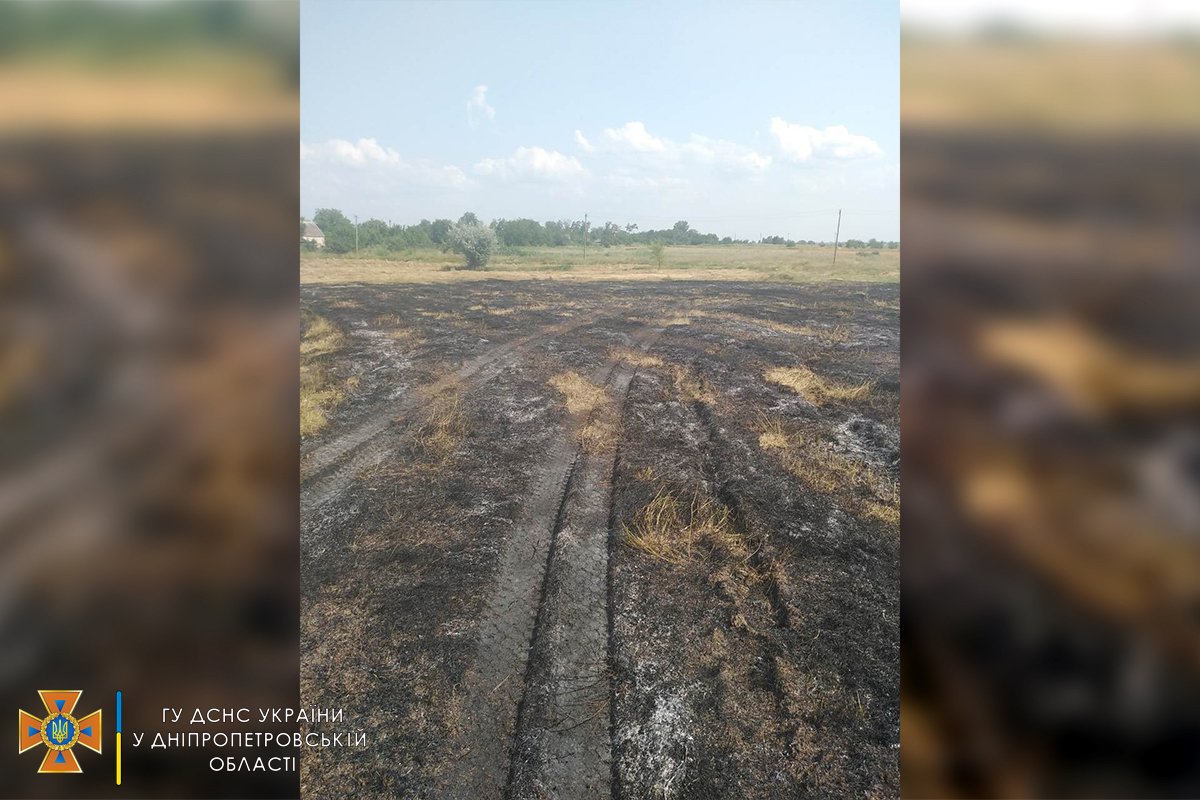 В Криворожском районе дважды за день ликвидировали пожары в поле, - ФОТО, фото-2