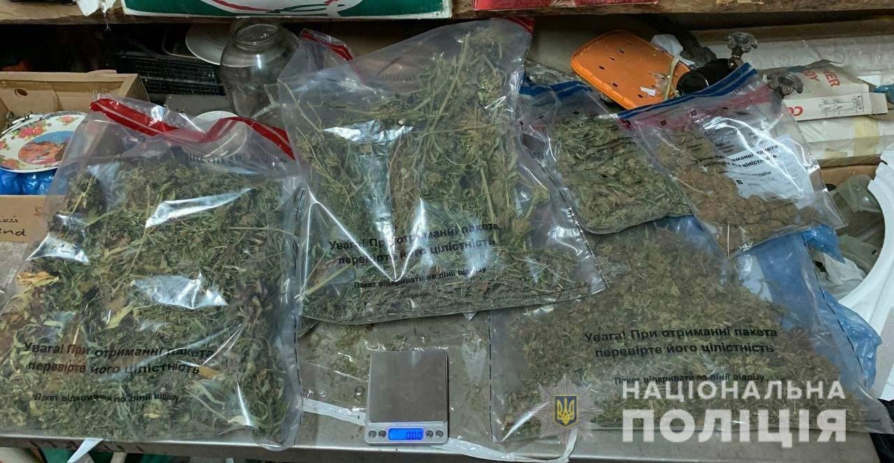 Криворожские полицейские обнаружили около 200 кустов конопли, - ФОТО, ВИДЕО, фото-3
