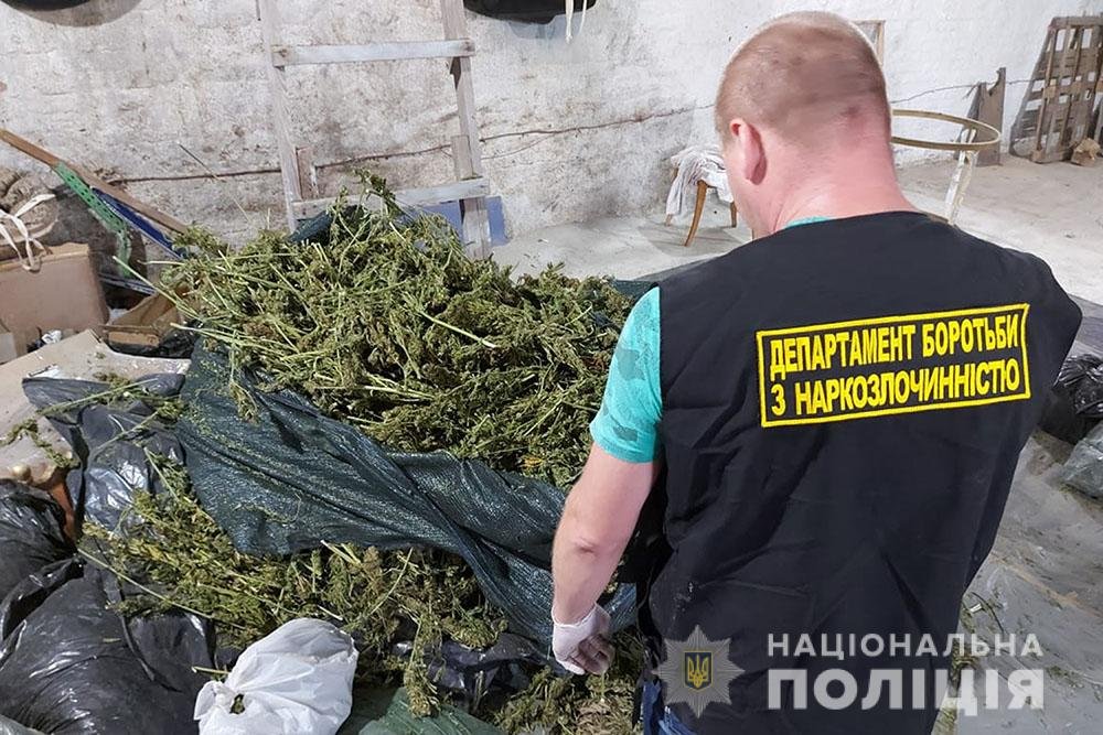 Криворожские полицейские обнаружили наркоферму с товаром на 8 миллионов гривен, - ФОТО, фото-4