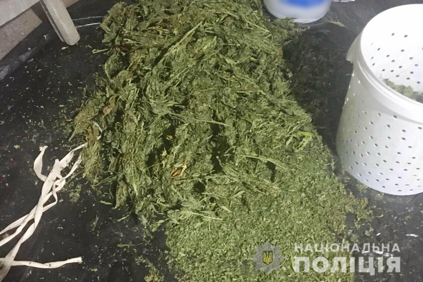 Криворожские полицейские обнаружили наркоферму с товаром на 8 миллионов гривен, - ФОТО, фото-3