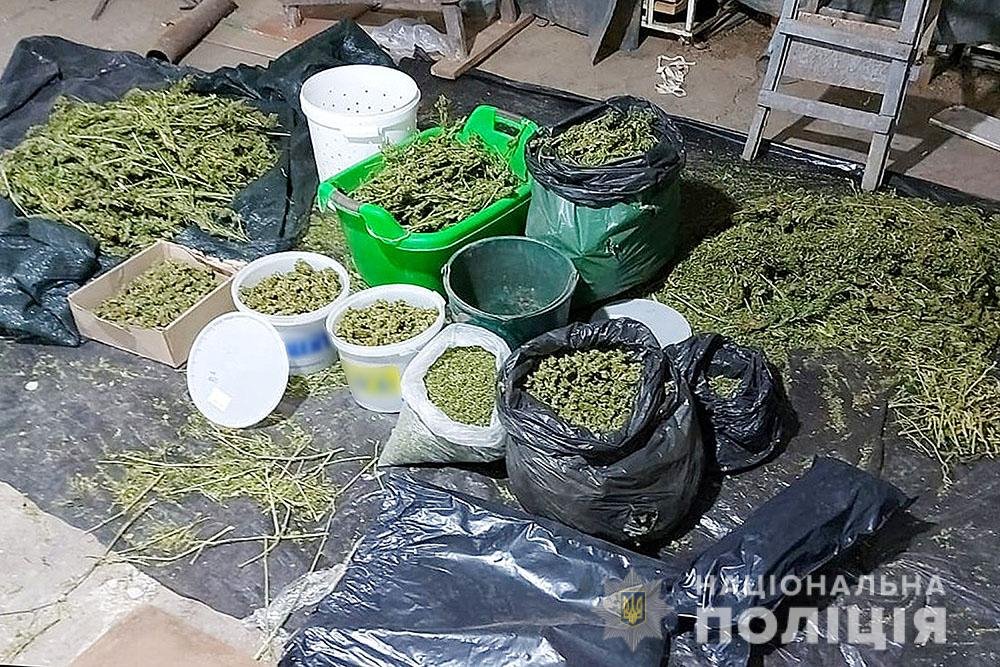 Криворожские полицейские обнаружили наркоферму с товаром на 8 миллионов гривен, - ФОТО, фото-2